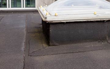 disadvantages of Ardverikie flat roofs