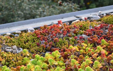 the cost of Ardverikie green roof installation