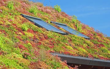 Ardverikie living roof systems